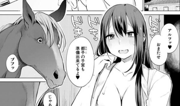 お馬のお嫁さん妊活中 （ハイソン）